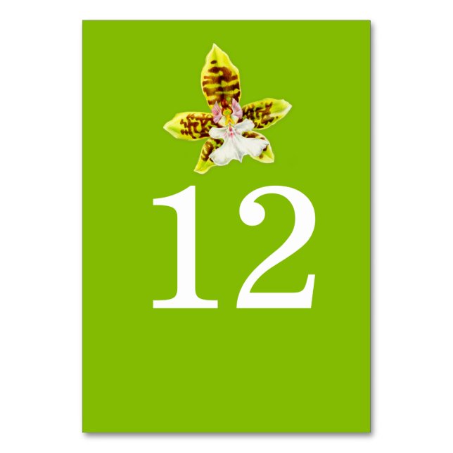 Bordsnummer av blommor från Greenery orchid art br (Baksidan)