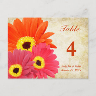 Bordsnummer för Gerber Daisy