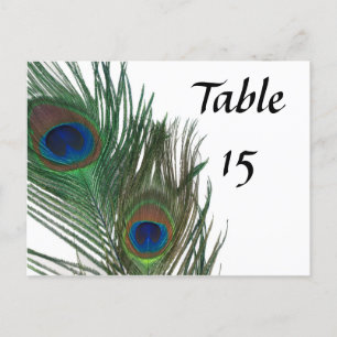 Bordsnummer i Bröllop i friskt vita Peacock