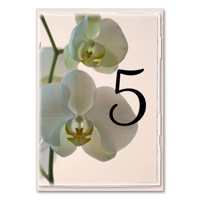Bordsnumren elegant White Orchids Bordsnummer (Framsidan)