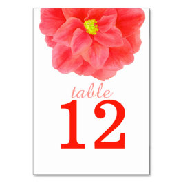 Bordsnumren i Camellia red Art bröllop Bordsnummer