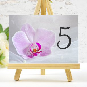 Bordsnumren rosa Orchid och Möhippa Veil Bröllop Bordsnummer