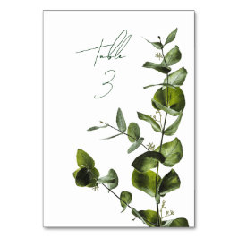 Bordsnumret Botaniska Eucalyptus Greenery Elegant Bordsnummer