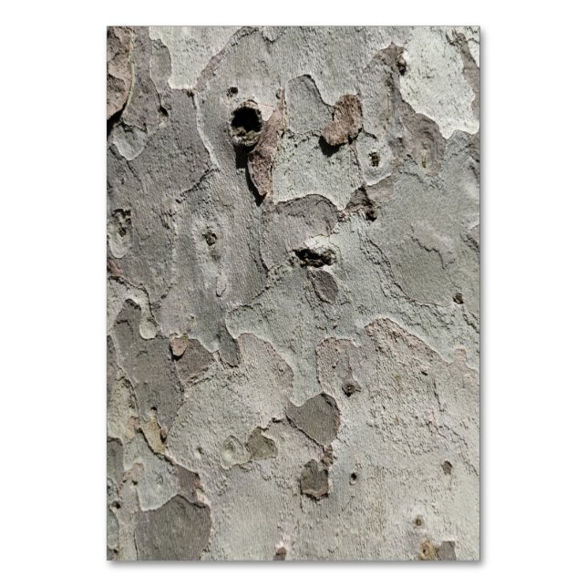 bordsnumret träd bark mönster bordsnummer (Framsidan)