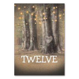 Bordsnumret Träd och String Ljus Bordsnummer