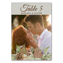 Bordsnumret Winter Gräs Beige Bröllop Bordsnummer