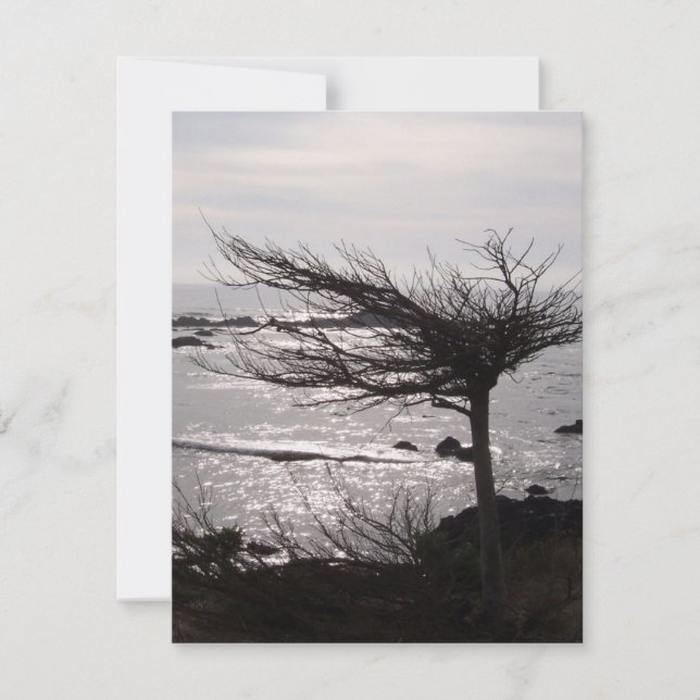 Bordsuppmuntringskort vid havsbotten Träd Kort (Framsida)