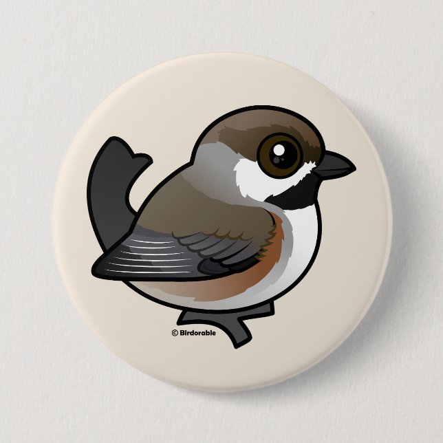 Boreal Chickadee Knapp (Framsida)