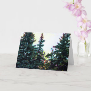 Boreal Forest Träd Canada Artsy Artistic Colorful Kort