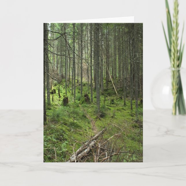 "Boreal Life Trail" Adirondack Forest Scene Kort (Framsida)