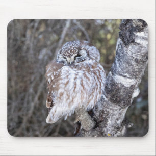 Boreal Uggla Mouse Pad Musmatta