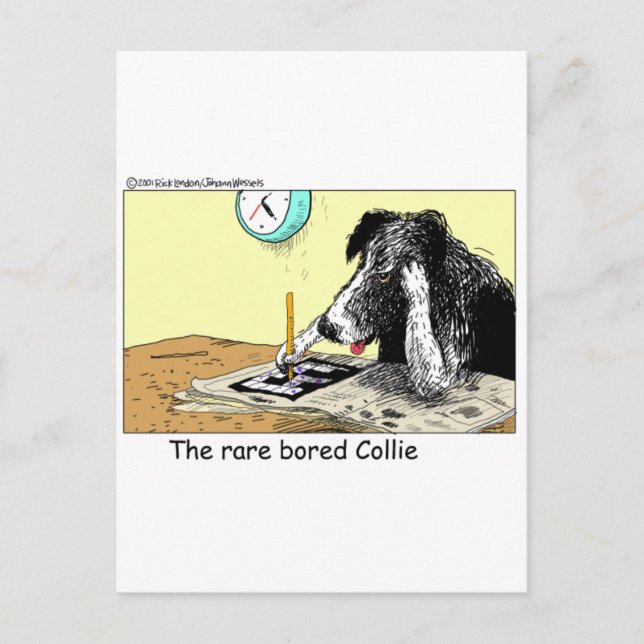 Bored Gräns Collie Funny Gifts Tees Collectibles Vykort (Framsida)