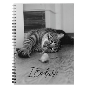 Bored Tabby katt Ljugande på Side Staring vid Leks Anteckningsbok