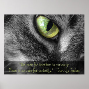 Boredom - Curiosity, Dorothy Parker-citat poster