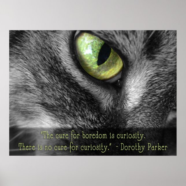 Boredom - Curiosity, Dorothy Parker poster citat (Framsidan)