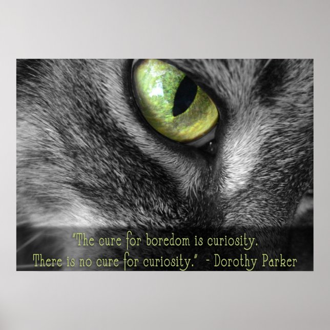 Boredom - Curiosity, Dorothy Parker poster citat (Framsidan)