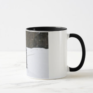 Borggård den Patterdale terrieren Mugg