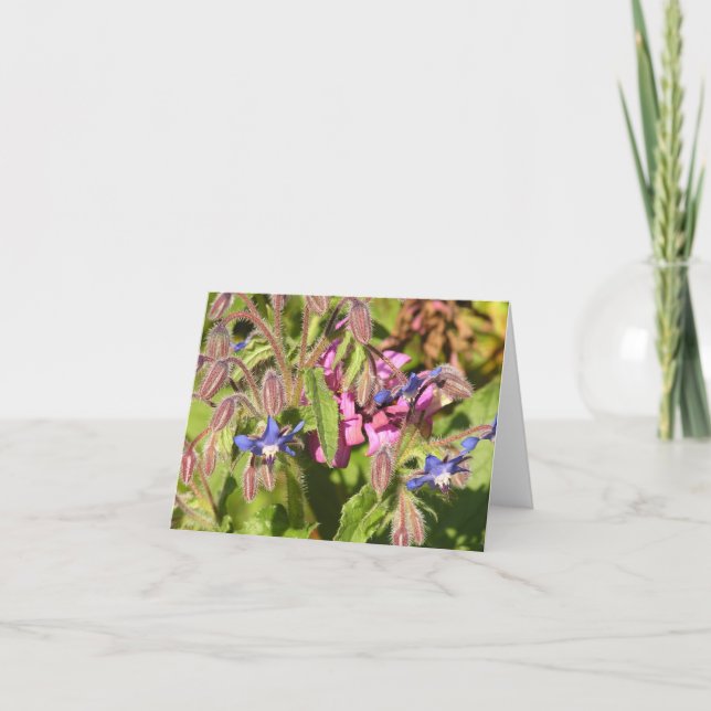 Borgkort (Borago officinalis) Helgkort (Framsida)