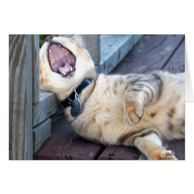 Boring! Hälsningskort (Framsidan Horizontal)