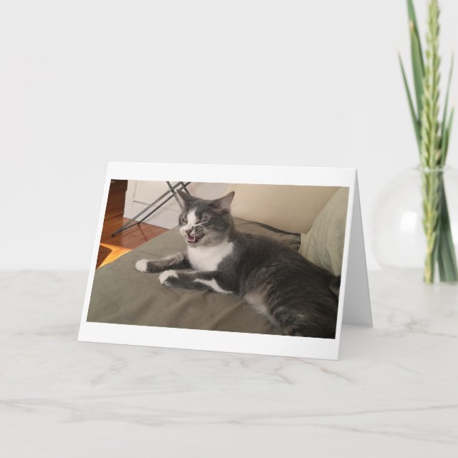 Boris Cute Nubber Kattunge Hälsning Kort (Framsida)