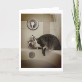 Boris Cute Nubber Kattunge hälsning Kort