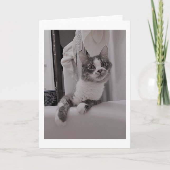 Boris Cute Nubber Kattunge Hälsning Kort (Framsida)