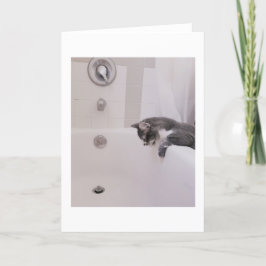 Boris Cute Nubber Kattunge Hälsning Kort
