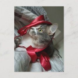 Boris Cute Nubber Kattunge vykort