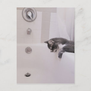 Boris Cute Nubber Kattunge vykort