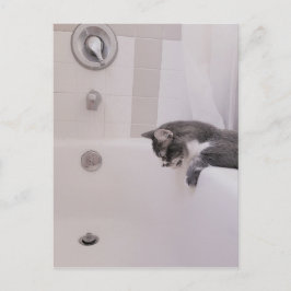 Boris Cute Nubber Kattunge vykort