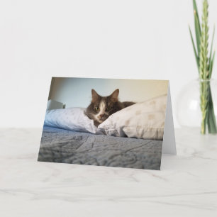 Boris-hälsningskortet Cute Nubber Kattunge Kort