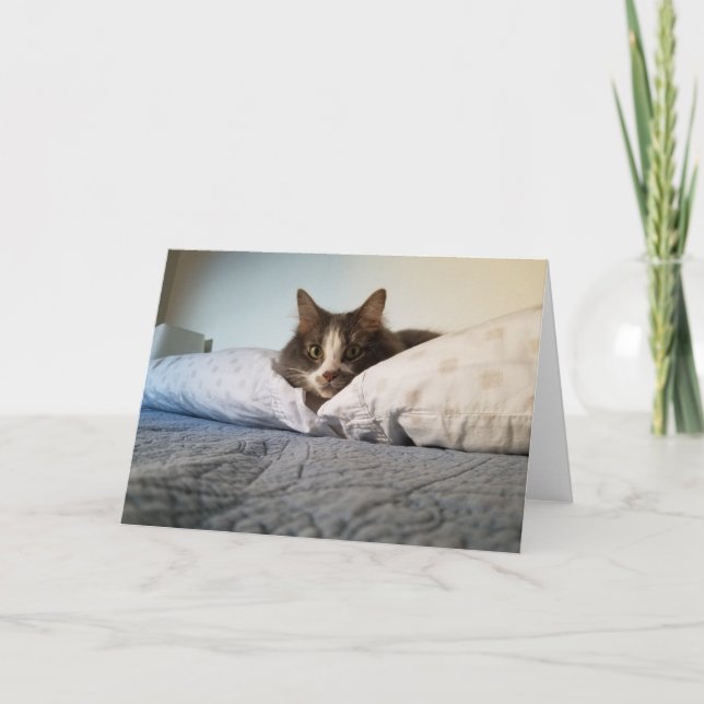 Boris-hälsningskortet Cute Nubber Kattunge Kort (Framsida)