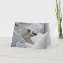Boris-hälsningskortet Cute Nubber Kattunge