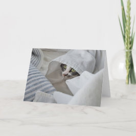 Boris-hälsningskortet Cute Nubber Kattunge Tack Kort