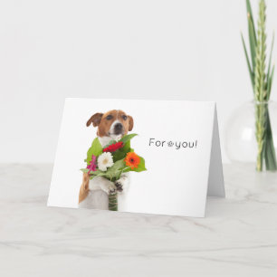 Boris, Jack Russell Terrier, Blommor åt dig! Kort