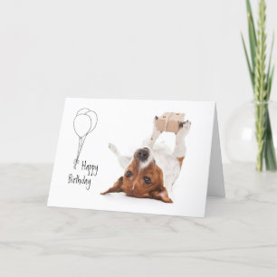 Boris - Jack Russell Terrier - Grattis på födelsed Helgkort