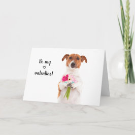 Boris - Jack Russell Terrier - Var min älskling på Kort