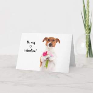 Boris - Jack Russell Terrier - Var min älskling på Kort