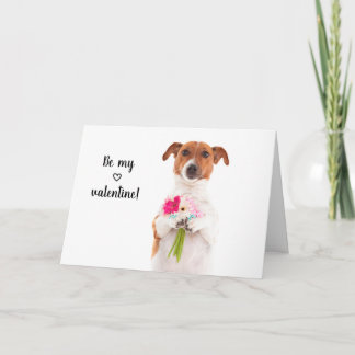 Boris - Jack Russell Terrier - Var min älskling på Kort