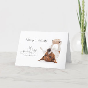 Boris - jackRussell Terrier - god jul Helgkort