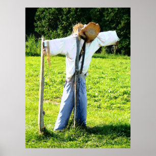 BÖRJA UNDER 20 $ - Fågelskrämma Poster
