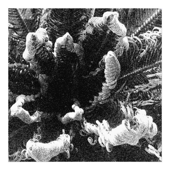 Början Fototryck (Framsidan)