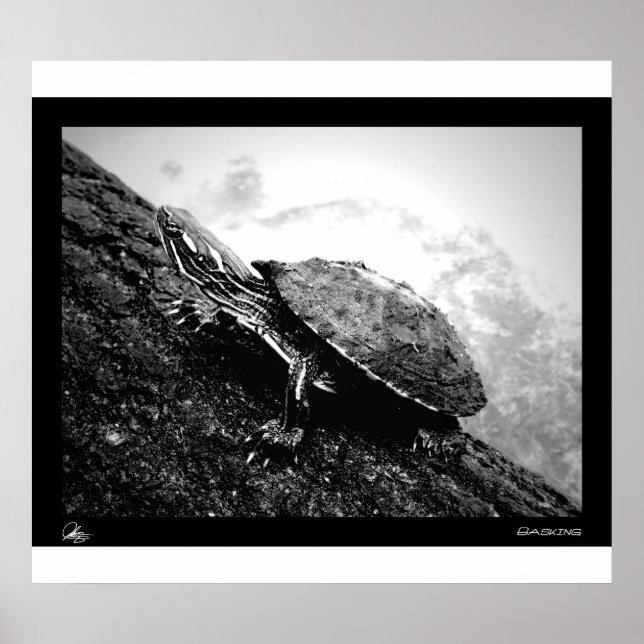 Början Poster (Framsidan)