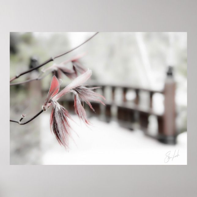 Början Poster (Framsidan)