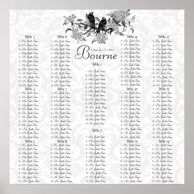 Börjar på 12,80 Vintagars fågeldiagram Poster (Framsidan)