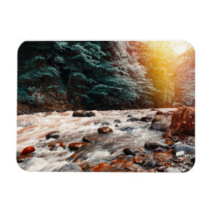 Borjomi bäck magnet