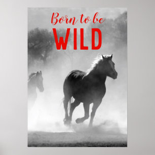 Born för att bli Vild Black & White Runows Horses Poster