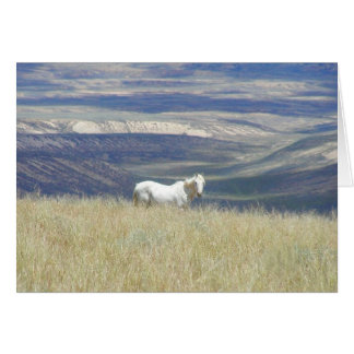 Born Free Vild Mustang Horse Hälsningskort