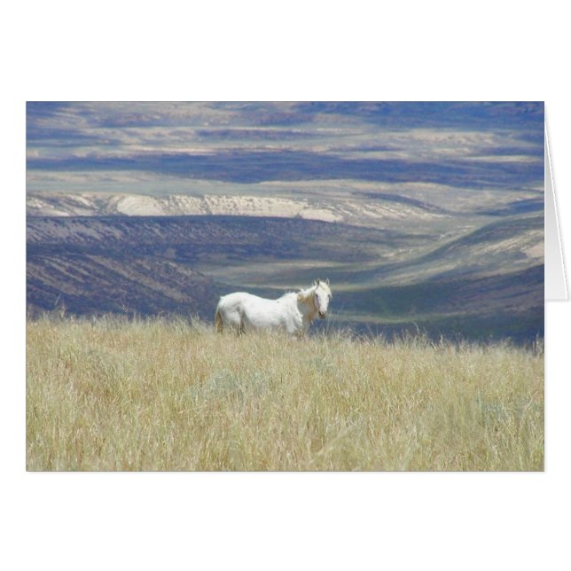 Born Free Vild Mustang Horse Hälsningskort (Framsidan Horizontal)