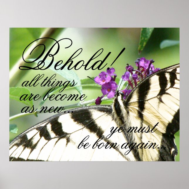 Born igen Butterfly Bible Christian Poster (Framsidan)